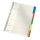 Leitz Karton-Register 43200000 DIN A4 blanko 5-teilig grau