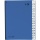 Pagna Pultordner 24329-02 DIN A4 32 Fcher 1-31 blau