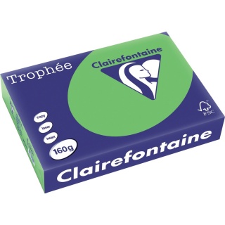 Clairefontaine Kopierpapier Trophee 1025C A4 160 g maigrn 250 Blatt