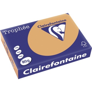 Clairefontaine Kopierpapier Trophee 1879C A4 80 g camel 500 Blatt