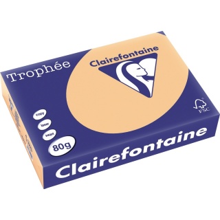 Clairefontaine Kopierpapier Trophee 1995C A4 80 g aprikose 500 Blatt