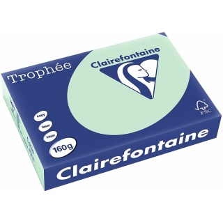 Clairefontaine Kopierpapier Trophee 2635C A4 160 g hellgrn 250 Blatt