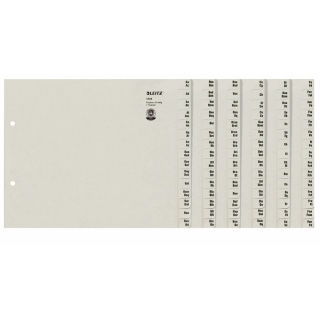 Leitz Serienregister 13240085 DIN A4 24-teilig A-Z grau 360 Blatt