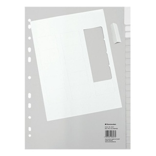PP-Register A4 volle Höhe auswechselbar blanko grau 20teilig