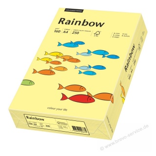 Rainbow Color Paper 88042305 A4 160 g hellgelb 250 Blatt