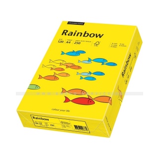 Rainbow Color Paper 88042392 A4 120 g intensivgelb 250 Blatt