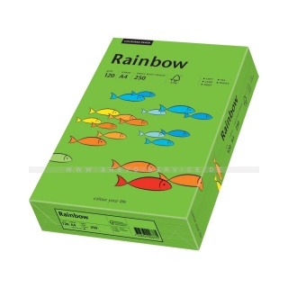 Rainbow Color Paper 88042678 A4 120 g intensivgrn 250 Blatt